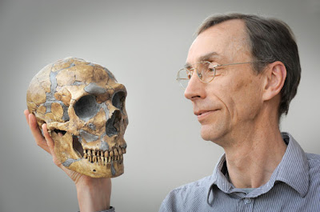 Illustration for article titled New DNA evidence could explain what happened to the Neanderthals